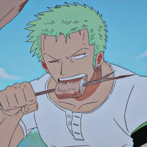 zoro, zoro, roronoa, roronoa zoro, une pièce zoro