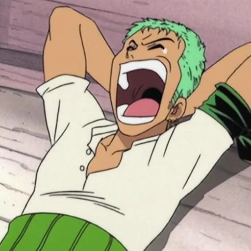 zoro, zoro, roronoa zoro, ruffy zoro sanji, roronoa zoro anime