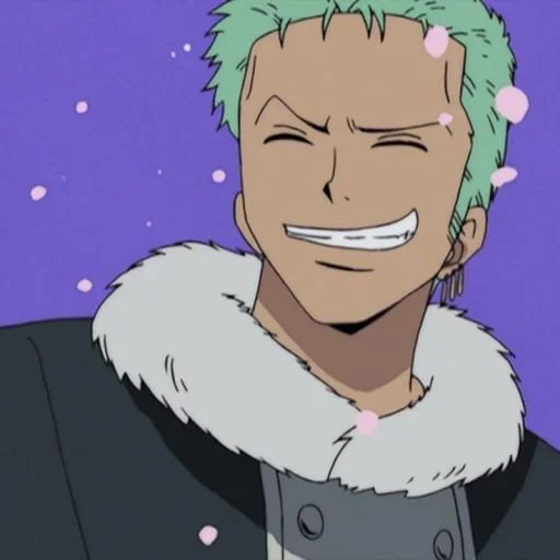 zoro, un pezzo, roronoa zoro, icone roronoa zoro, roronoa zoro anime