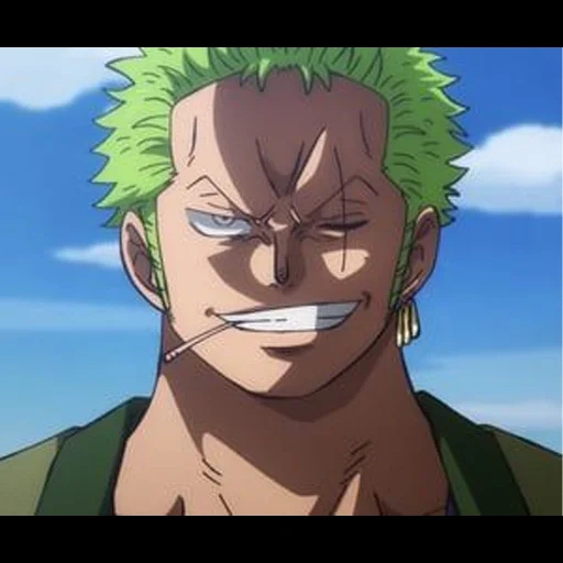 zoro, zoro wano, zoro sanji, roronoa zorro, one piece zoro