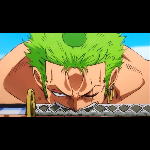 zoro, van pies, zoro wano, rorono a zoro, one piece zoro