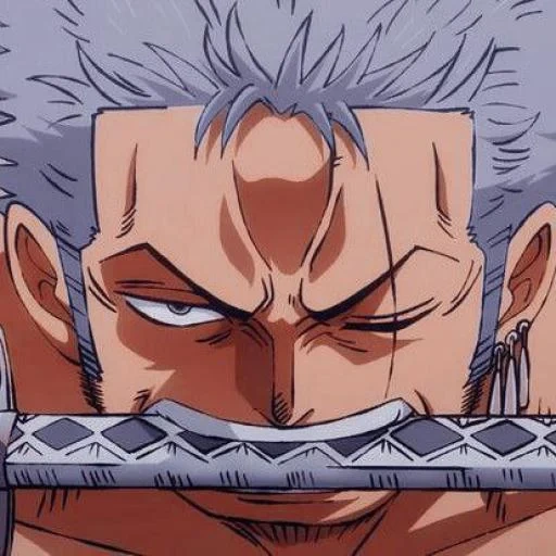 zoro, roronoa, roronoa zoro, anime roronoa zoro, aventura extraña de jojo s