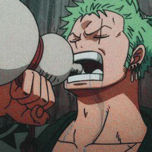 zoro, roronoa zoro, ein stück zoro, anime one piece, fouton gokuhou