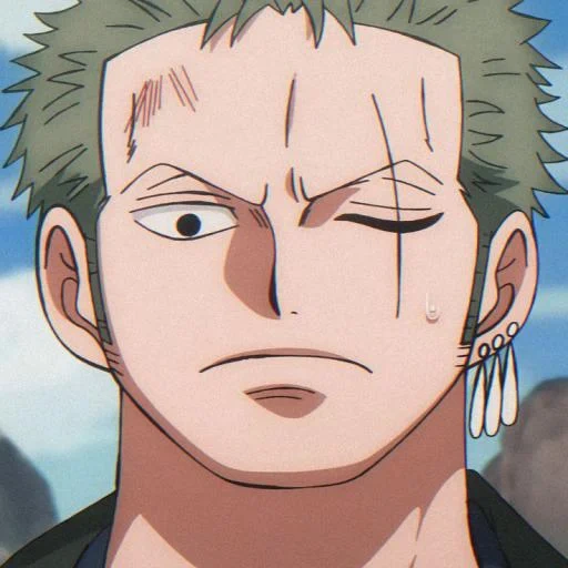 zoro, roronoa zoro, personagens de anime, zoro roronoa é querido, one piece roronoa zoro