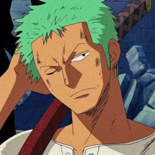 zoro, zoro, roronoa zoro, ein stück zoro, zoro anime van pis