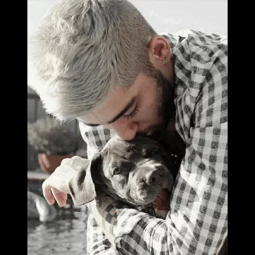 zane, der junge mann, friseur, zanin malik, der hund von malik